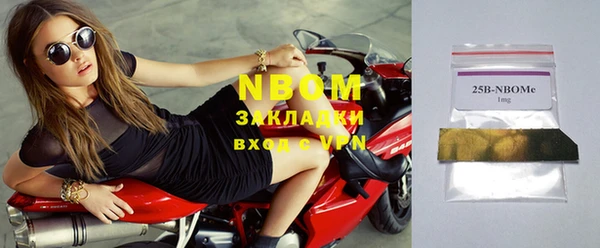 прущие грибы Алзамай