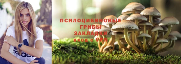 мяу мяу мука Болохово