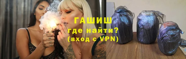 прущие грибы Алзамай