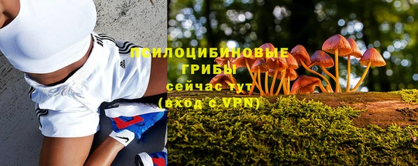 прущие грибы Алзамай