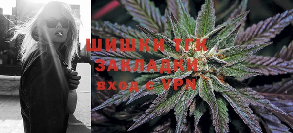 прущие грибы Алзамай