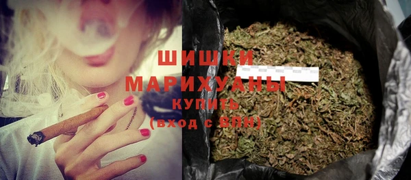 прущие грибы Алзамай