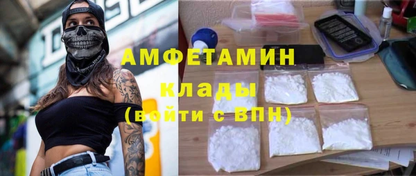прущие грибы Алзамай